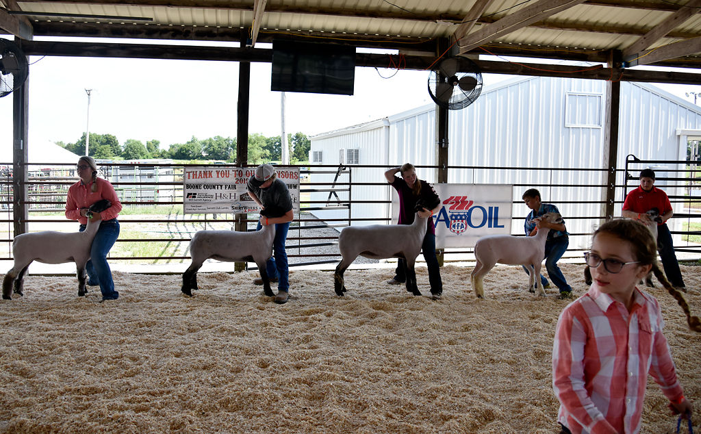 Members of 4-H around Boone County come to the Boone County Fair